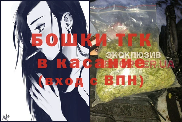 дмт Алексин