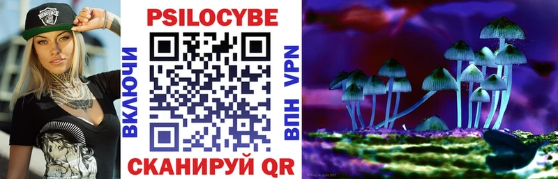 Псилоцибиновые грибы Psilocybine cubensis  Кемь 